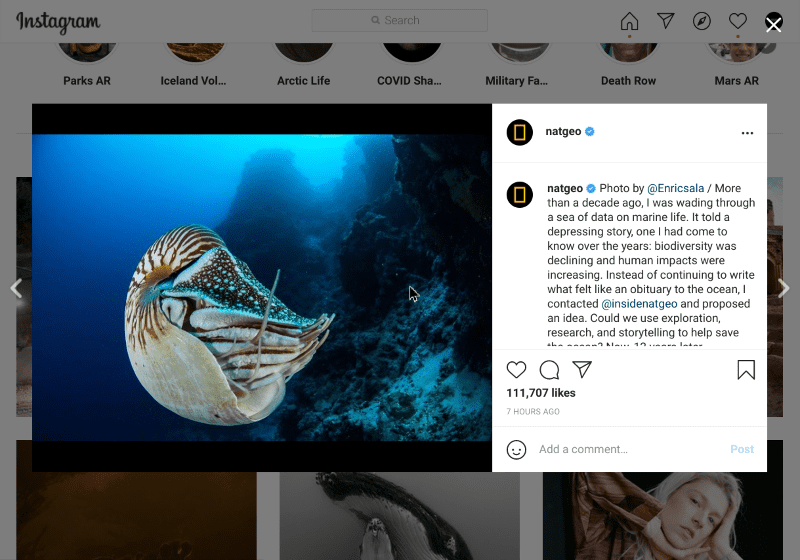 获得新 Instagram 粉丝的技巧