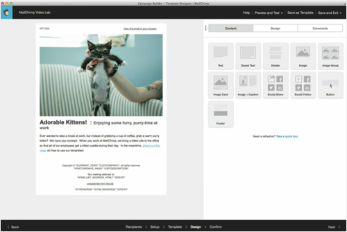 mailchimp template design