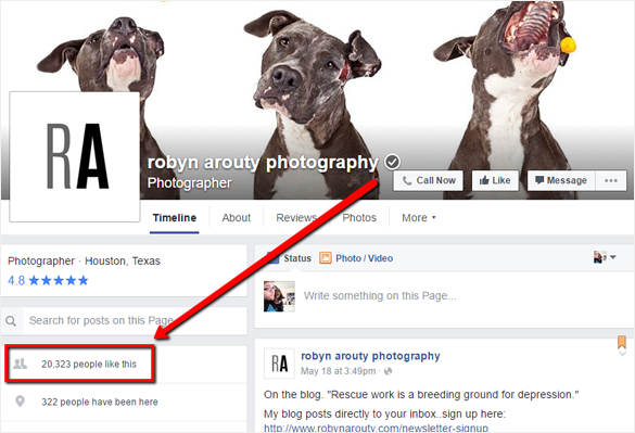 page facebook de robyn arouty photographie robyn arouty photography facebook page