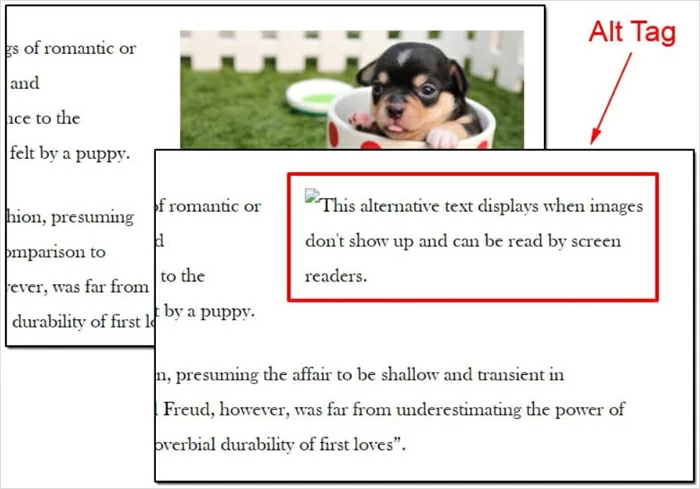 이미지 대체 텍스트의 과도한 최적화