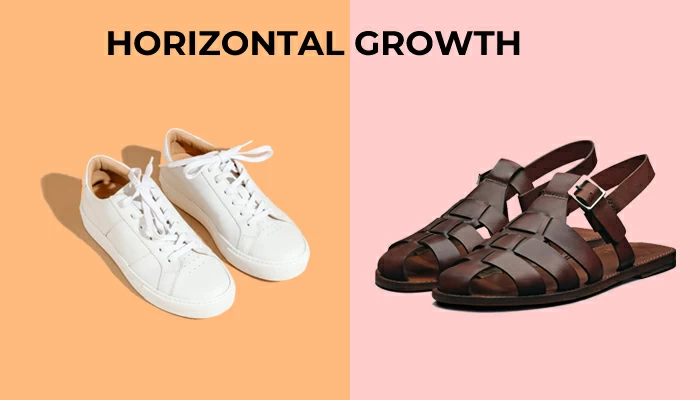 La croissance horizontale et son fonctionnement