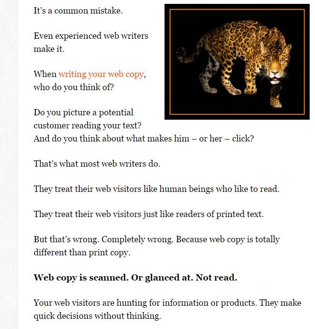 Leopard_Screenshot.jpg Leopard_Screenshot.jpg