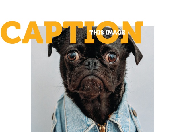 แคปชั่น