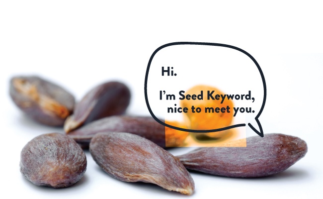 Immagine caratteristica