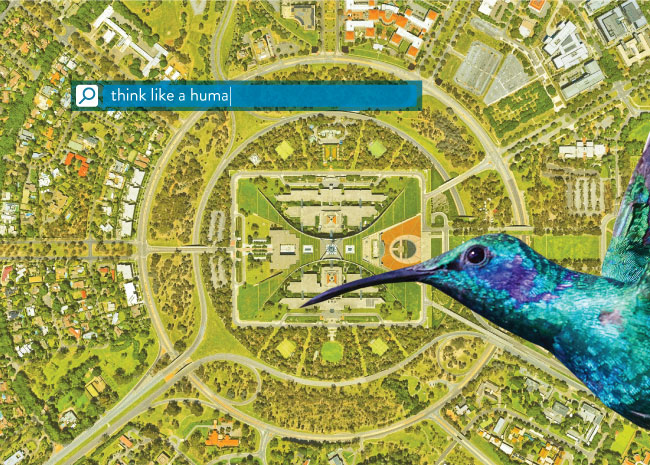 SEO vedere de pasăre