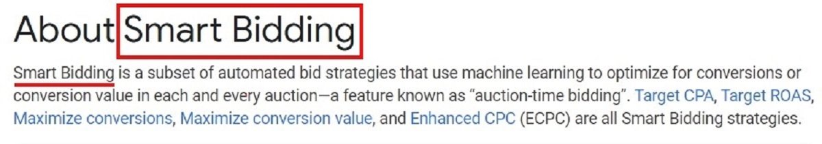 PPC ads inteligentne strategie określania stawek