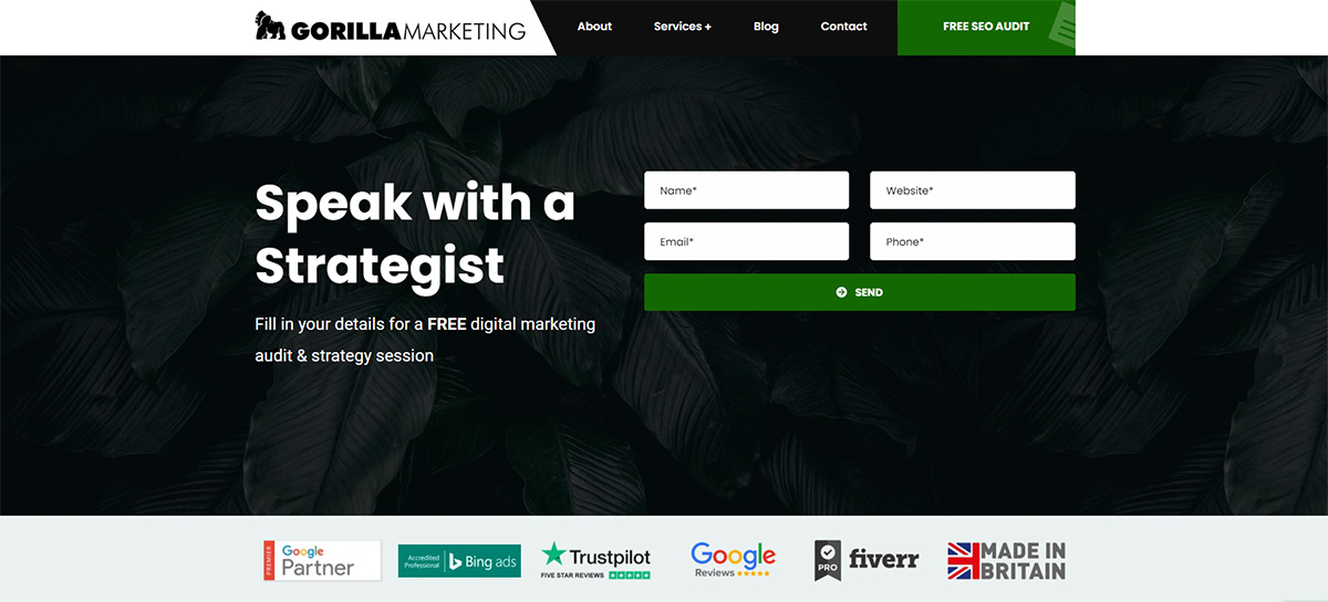 تسويق الغوريلا