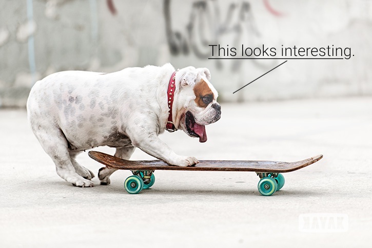 Pouvez-vous enseigner à un vieux chien de nouveaux tours entrants? | Les médias sociaux aujourd'hui