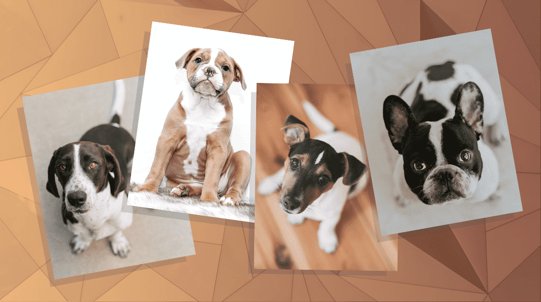 Judul blog Venngage 1