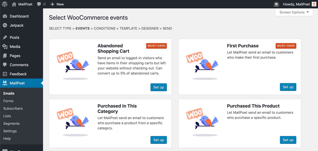 لوحة القيادة Mailpoet