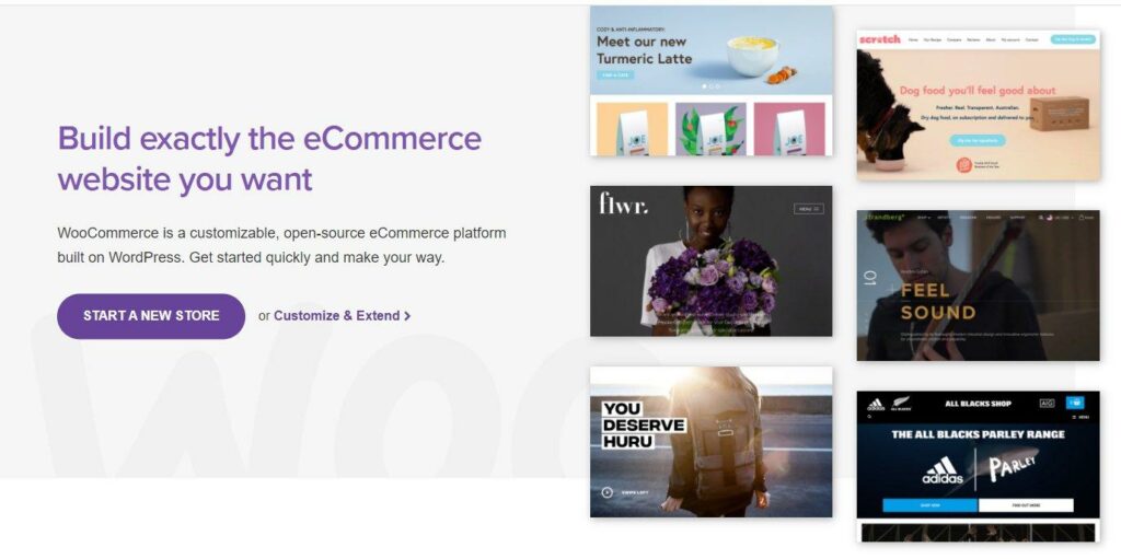 Woocommerce-Anpassung