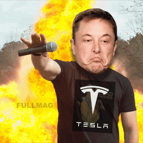 elon gif