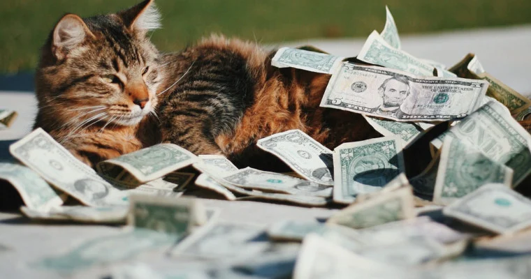 Ghidul dvs. pentru implicarea autentică pe Instagram