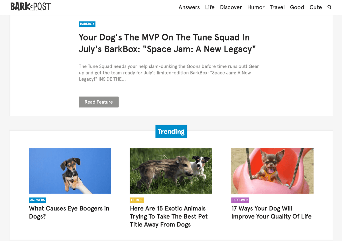 Exemple de marketing de contenu BarkPost B2C