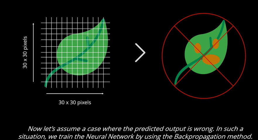 具有較高值的神經元