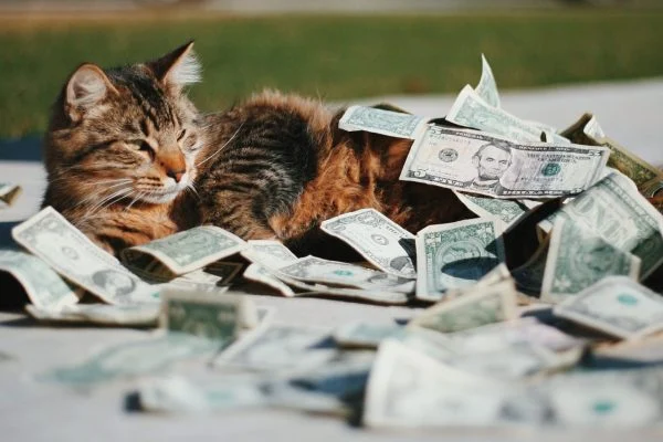 จะโพสต์อะไรบน Instagram