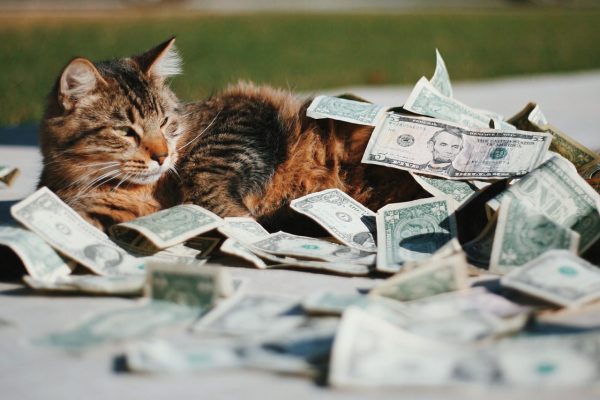 วิธีคิดออกว่าจะโพสต์อะไรในฟีด Instagram ของแบรนด์ของคุณ