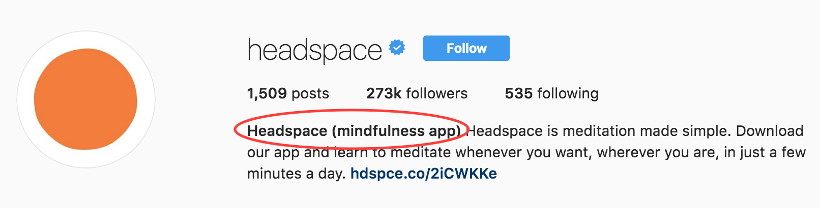 Bonnes idées de bios Instagram.