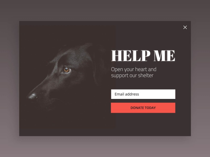 Emocjonalna promocja e-mailowa, która zachęca do działania