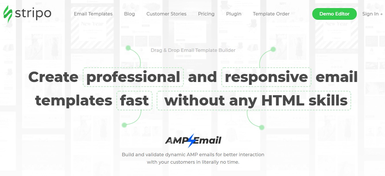 Stripo 이메일 템플릿