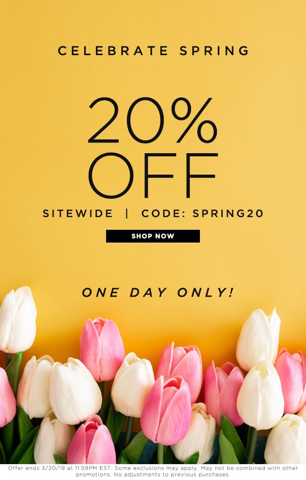 이메일 디자인 팁