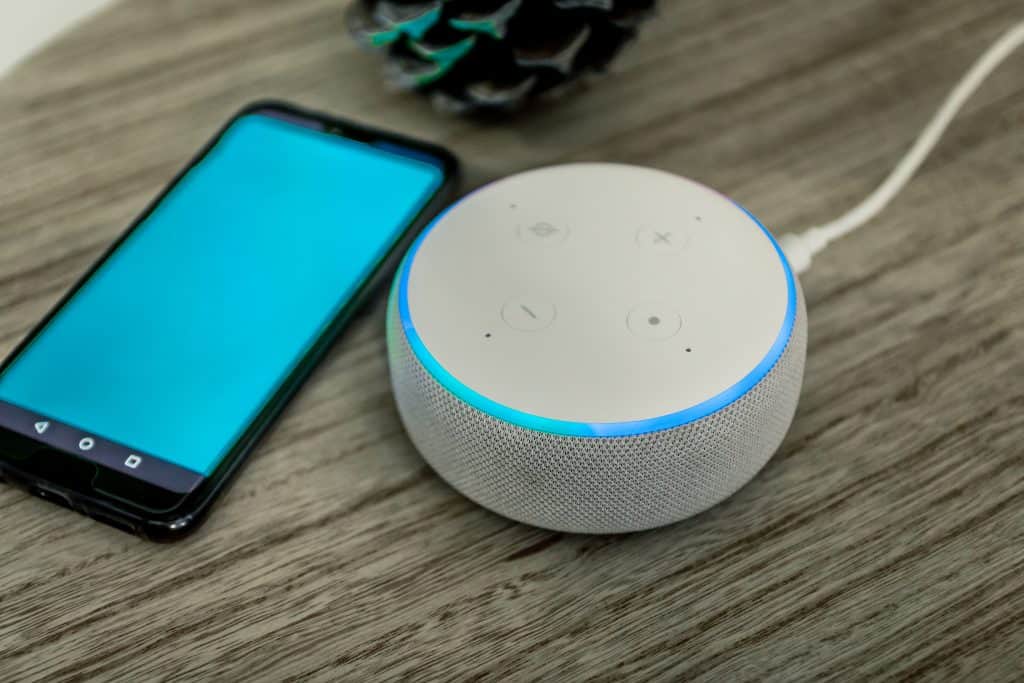 2021년 음성 검색