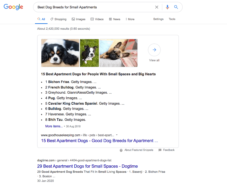 Google 新鲜度算法：适用于小型公寓的最佳犬种的 Google 搜索结果