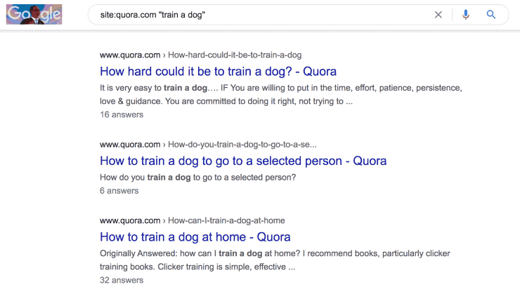 ผลการค้นหาของ Google สำหรับ site:quora.com 'train a dog' - seo tips