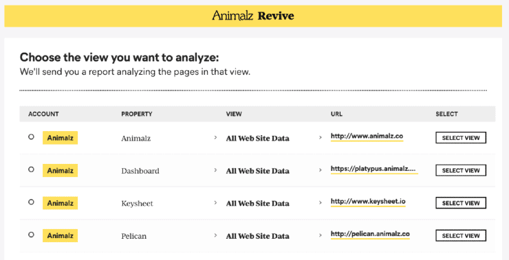 Animalz Revive Sample Dashboard - เครื่องมือ SEO ฟรีที่ดีที่สุด