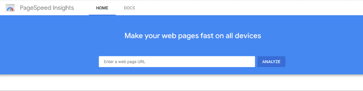 ตัวอย่างข้อมูลหน้าแรกของ Google PageSpeed Insights - เครื่องมือ SEO ฟรีที่ดีที่สุด