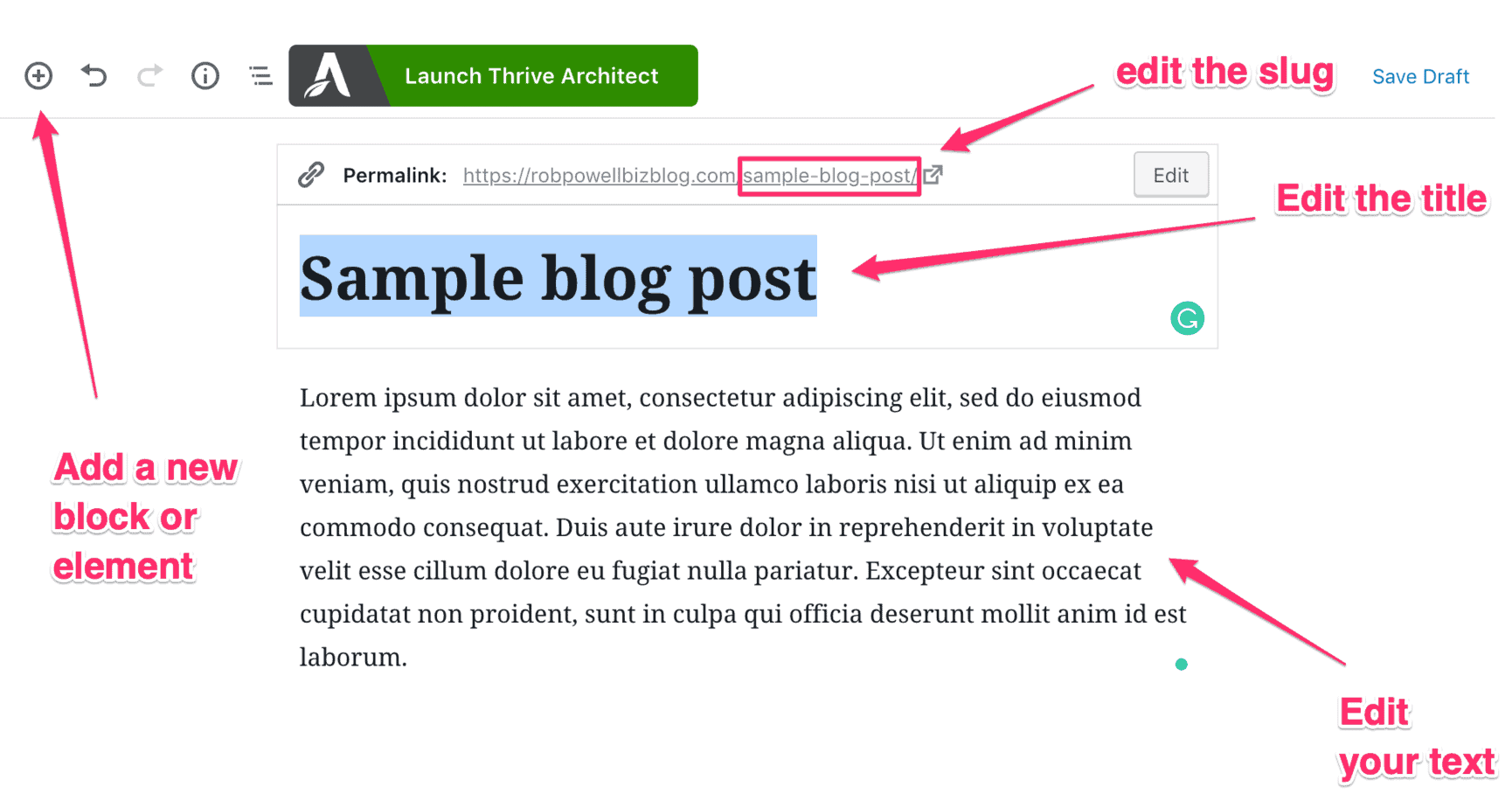 best wordpress wysiwyg editor