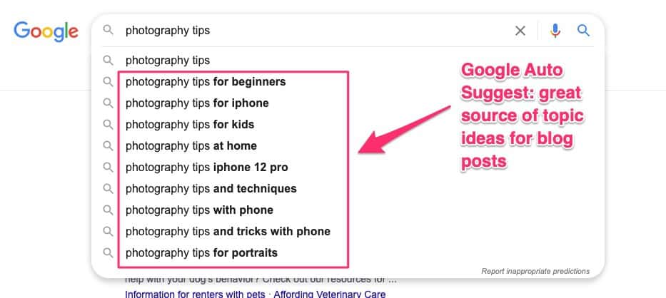 Google Auto Suggest - source of topic ideas for blog posts