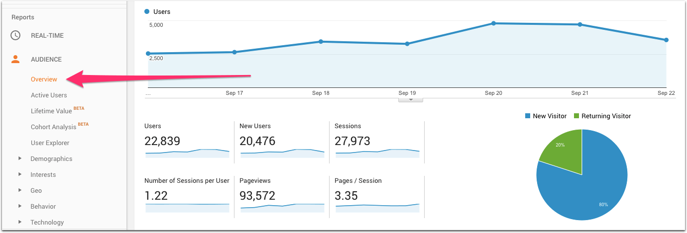 art061-ss-05-новый google analytics for wordpress