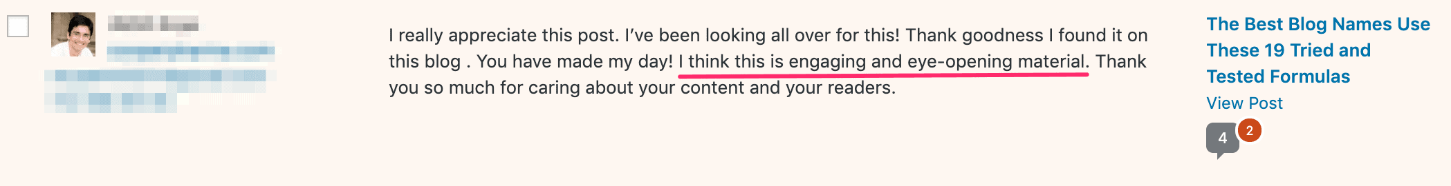 example of comment spam