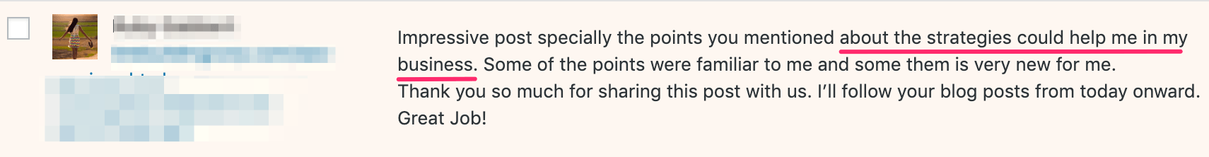 example of comment spam