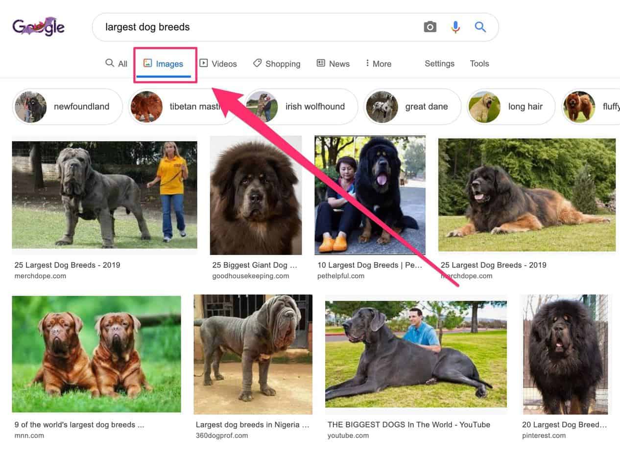 types of SEO - image SEO