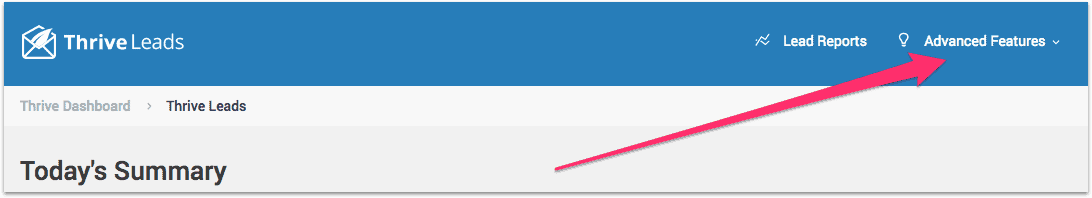 lead magnet delivery