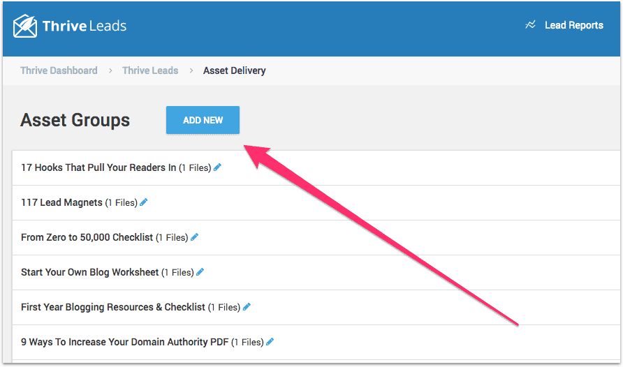 lead magnet delivery