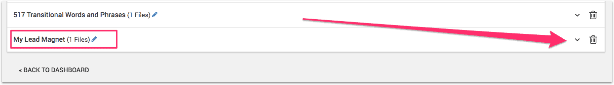 lead magnet delivery