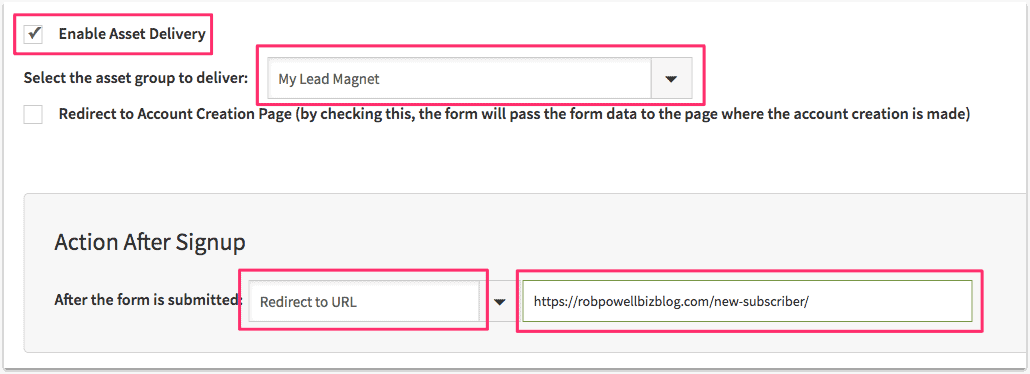 lead magnet delivery