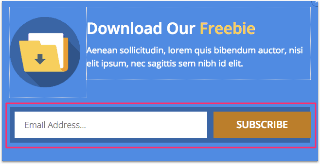 lead magnet delivery