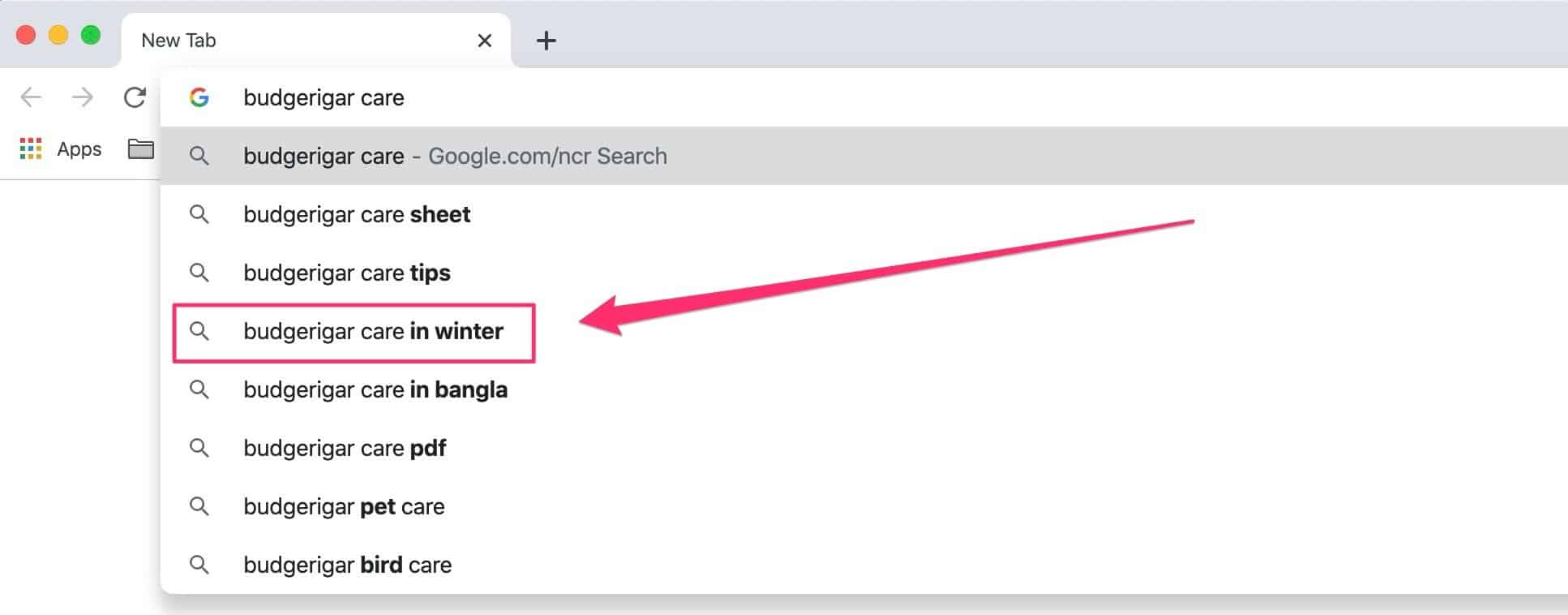 seo-receta-para-el-éxito-01-marcado seo recipe for success