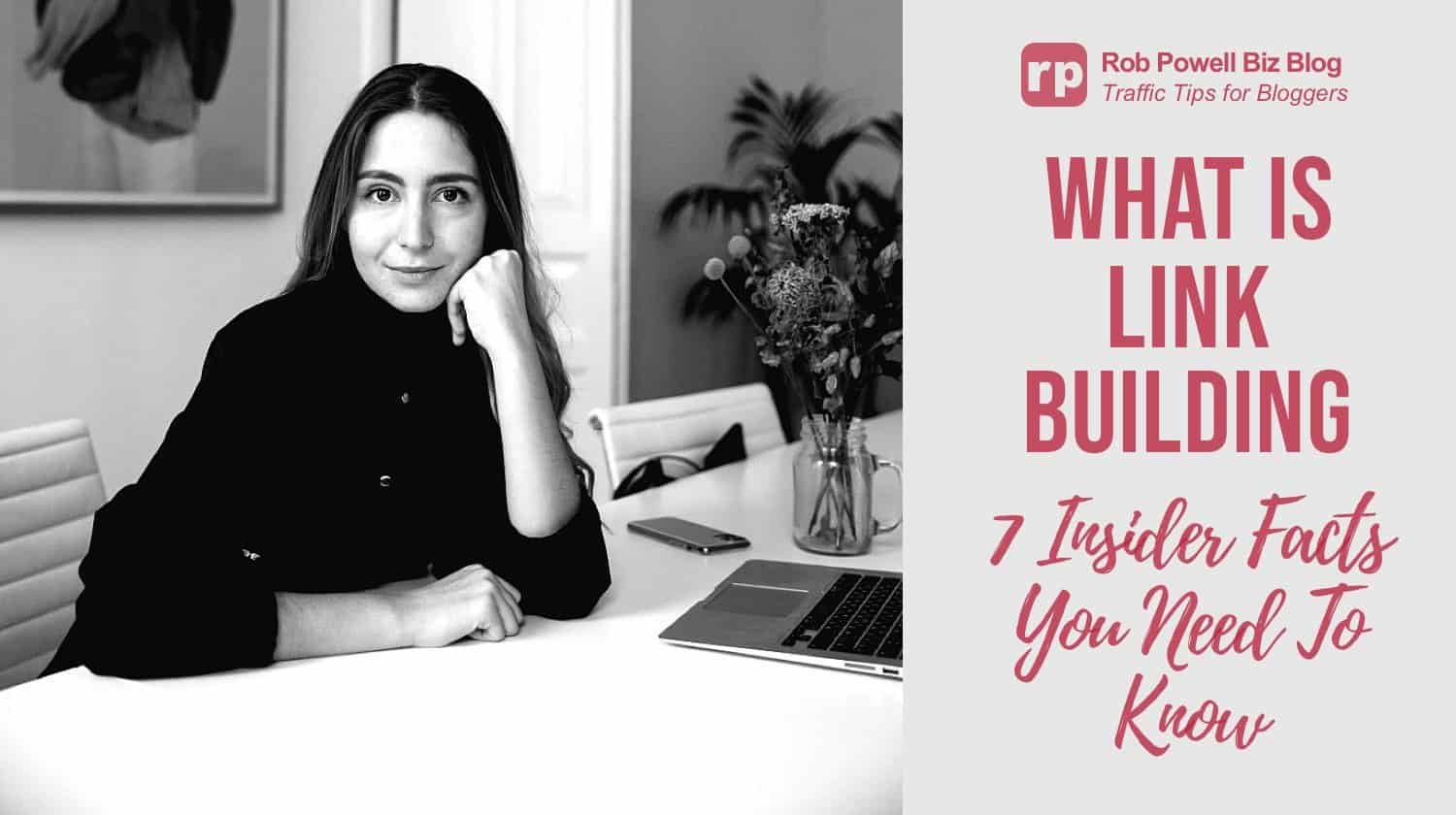 what is link building