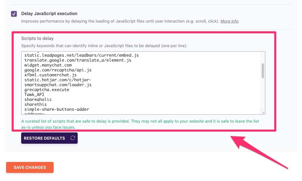 wp rocket review - delay javascript execution
