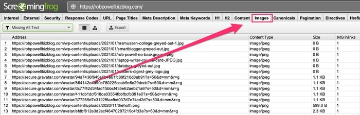 using screaming frog to find images without alt text