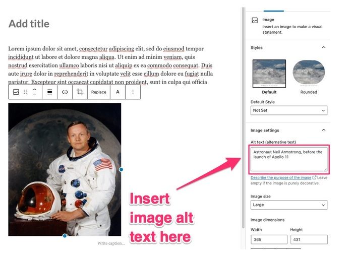 adding image alt text in the default WordPress editor