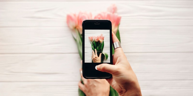 tulipanes en historias