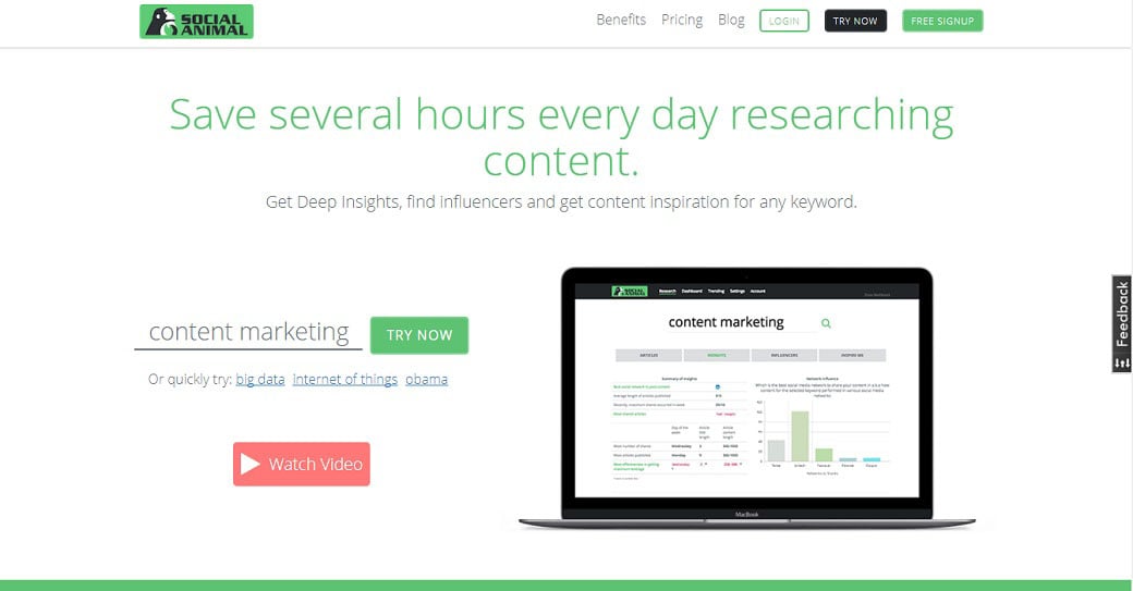 BuzzSumo immagine alternativa Social Animal