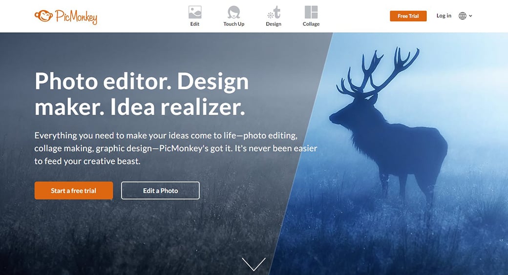 Бесплатный инструмент контент-маркетинга PicMonkey