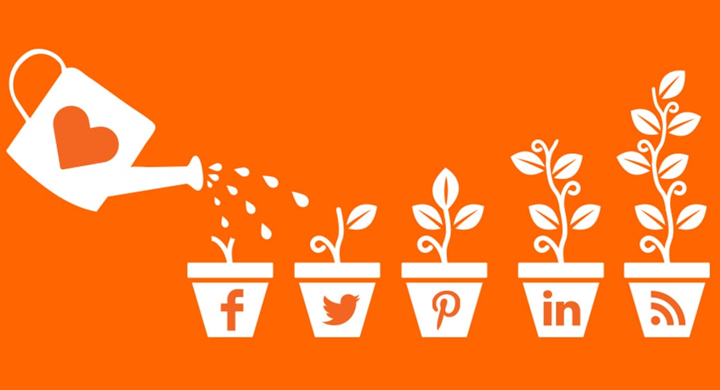 Immagine di crescita della gestione dei social media